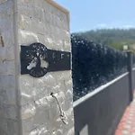 Isık